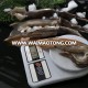 Frozen Illex Squid 150-200g